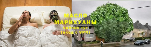 амф Бородино