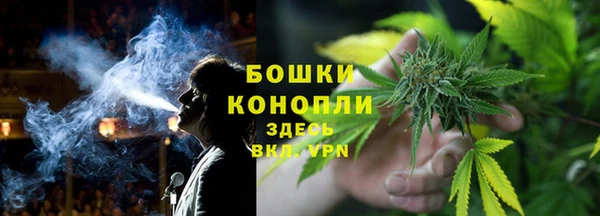 амф Бородино